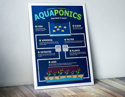 Aquaponics Infographic