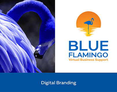 Blue Flamingo Branding & Web Design