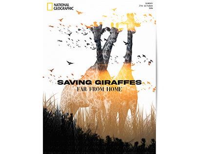 Documental Saving Giraffes