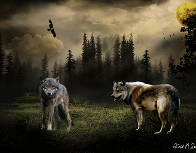 Wolves in the forest