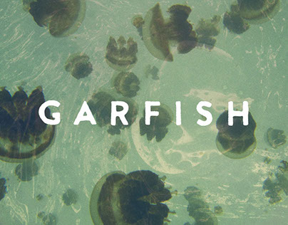 Garfish