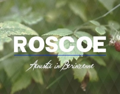 Roscoe acoustic in Berinzenne