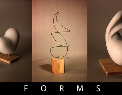 FORMS: Study of forms and shapes