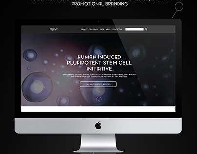 HipSci Web Design, Graphic Design & Promotional Brandin