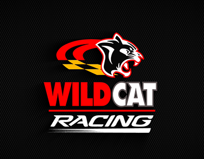 Wild Cat Energy Drink African Rally Championship