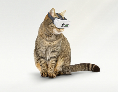 Cat VR