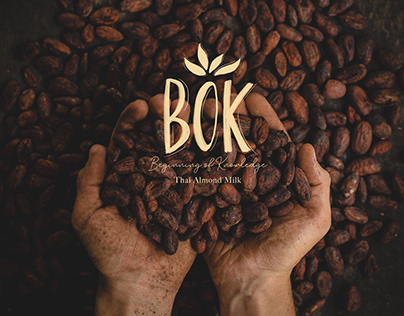 Logo Design for BOK