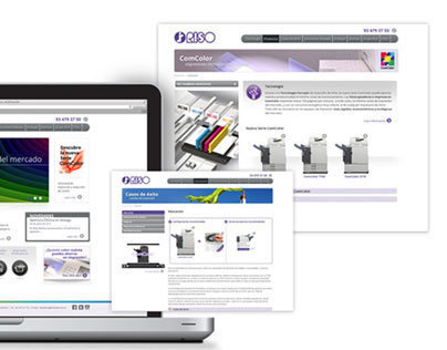 Web design Riso company Japanese printing sistems
