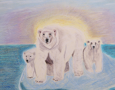 polar bears on ice floe