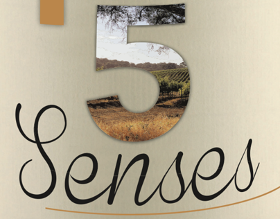 Wine Etiquette – 5 senses.
