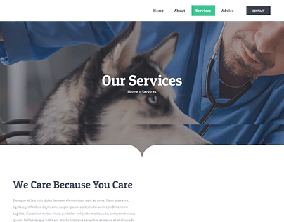 veterinarian website{Services page}
