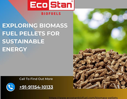 Exploring Biomass Fuel Pellets for Sustainable Energy