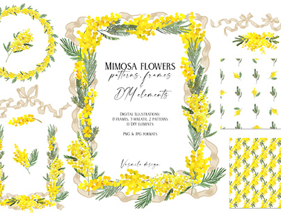 Mimosa flowers spring collection