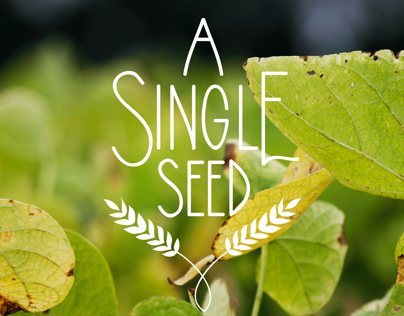 A Single Seed