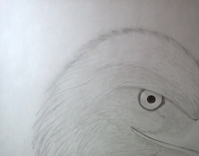 Eagle Pencil Illustration