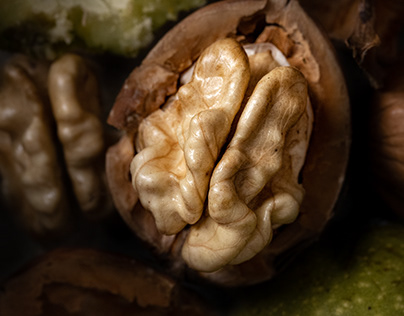 Fresh walnut photography