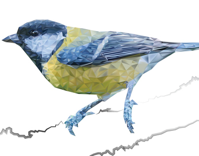 Vector Bird Illustration
