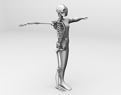 3D Human Skeleton Modeling