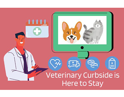 Veterinary Curbside Is Here To Stay