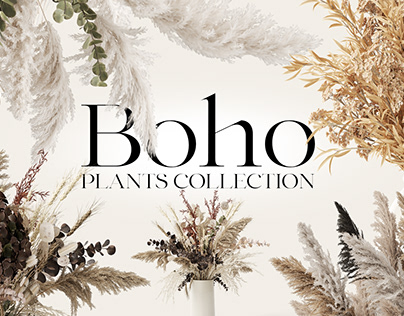Boho Isolated Plants Collection