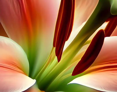 The Intricate Details of a Lily's Delicate Beauty