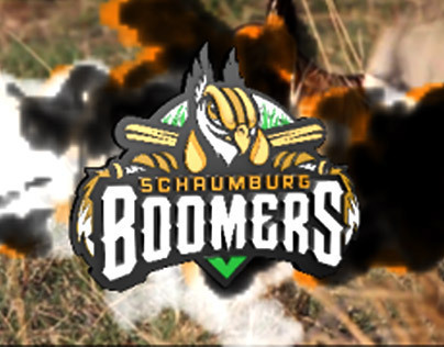 2013 Schaumburg Boomers Game Intro