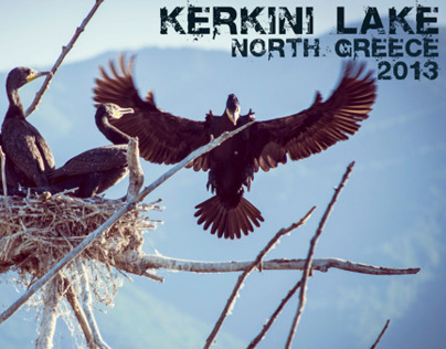Landscape and Nature of Kerkini Lake