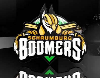 Schaumburg Boomers Logo 360