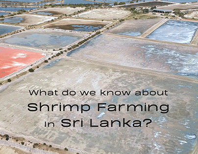 Infographic: Shrimp Farming in Sri Lanka
