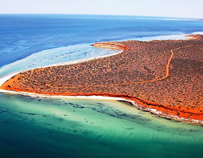 Shark Bay in Western Australia