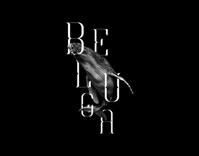 Beluga Typeface