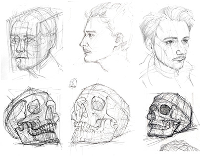 Studium i analiza portretu oraz czaszki