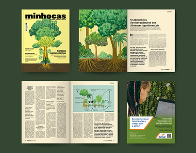 Illustrations + Infographic + Design | Minhocas