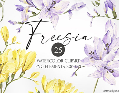 Watercolor Freesia flowers clipart. Spring images