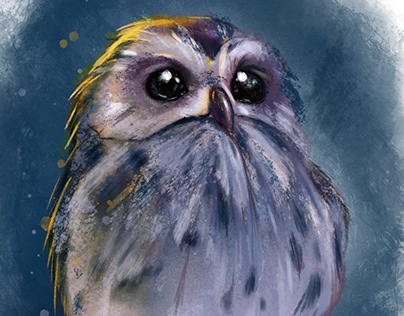 Baby Owl illustration