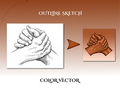 Outline sketch to colored vector