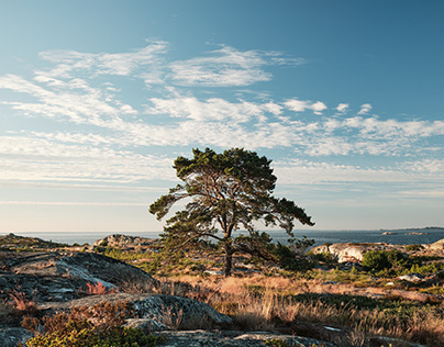 Bullerö, Stockholm Archipelago