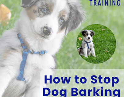 How to Stop Dog Barking- Know the Complete Guide!