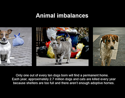 Ideas to rescue stray animals | Arduino technology