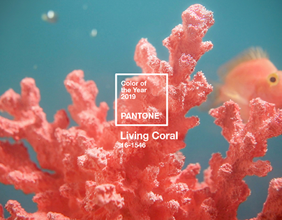 LIVING CORAL - PHOTOSHOOT