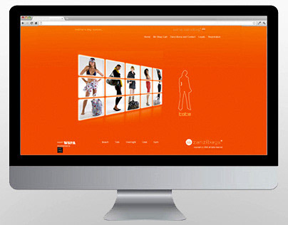 Website Design – Zanzibags