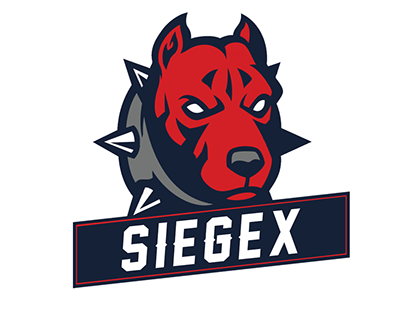 SiegeX eSports