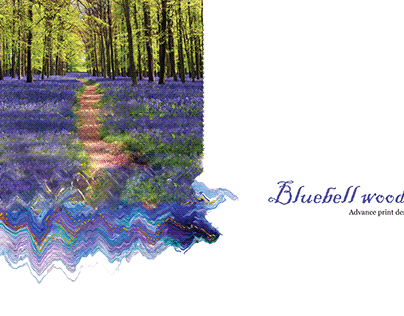 Bluebell woods (Print design project)