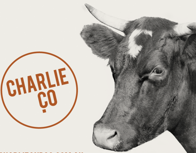Charlie & CO | Branding