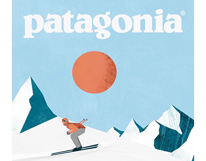 Patagonia Bag