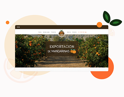Sitio Web | Andes Premium Fruits