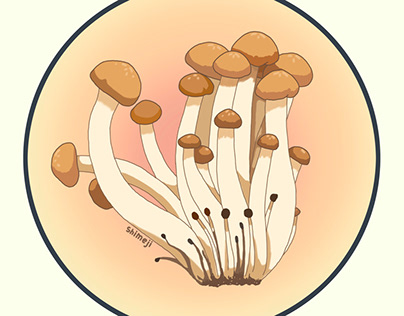 My 1000 illustrations.Mushrooms. 1-5 (перезалив)