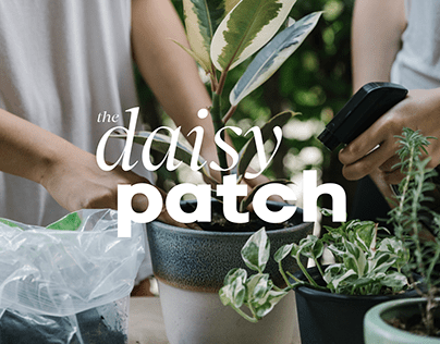 The Daisy Patch | Brand Identity