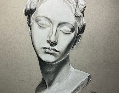Charcoal on  Strathmore Toned Gray 11” x 14” paper