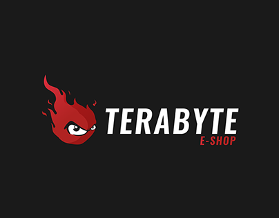 Terabyte - Logo proposal